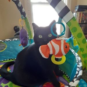 Meet your Posher, Erica